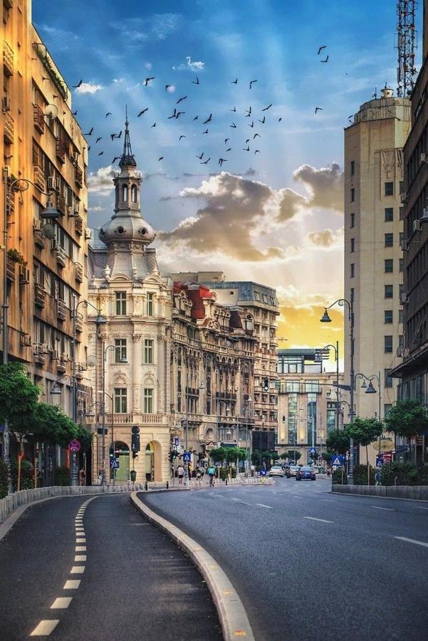 Imob Bibi House Universitate Бухарест Екстер'єр фото